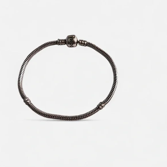Pandora Dark Silver Charm Bracelet - Picture 1 of 10